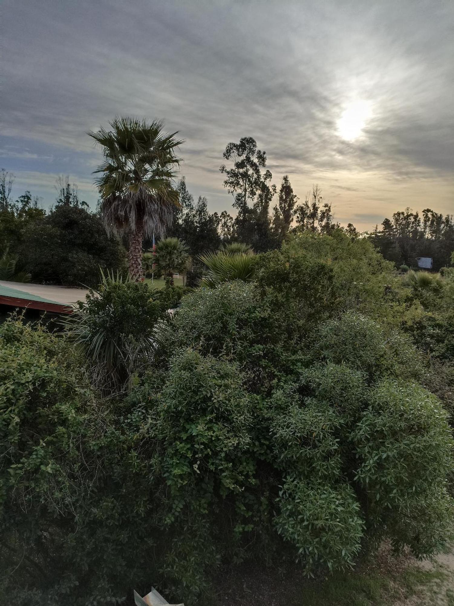 El Algarrobo Алгаробо Екстериор снимка