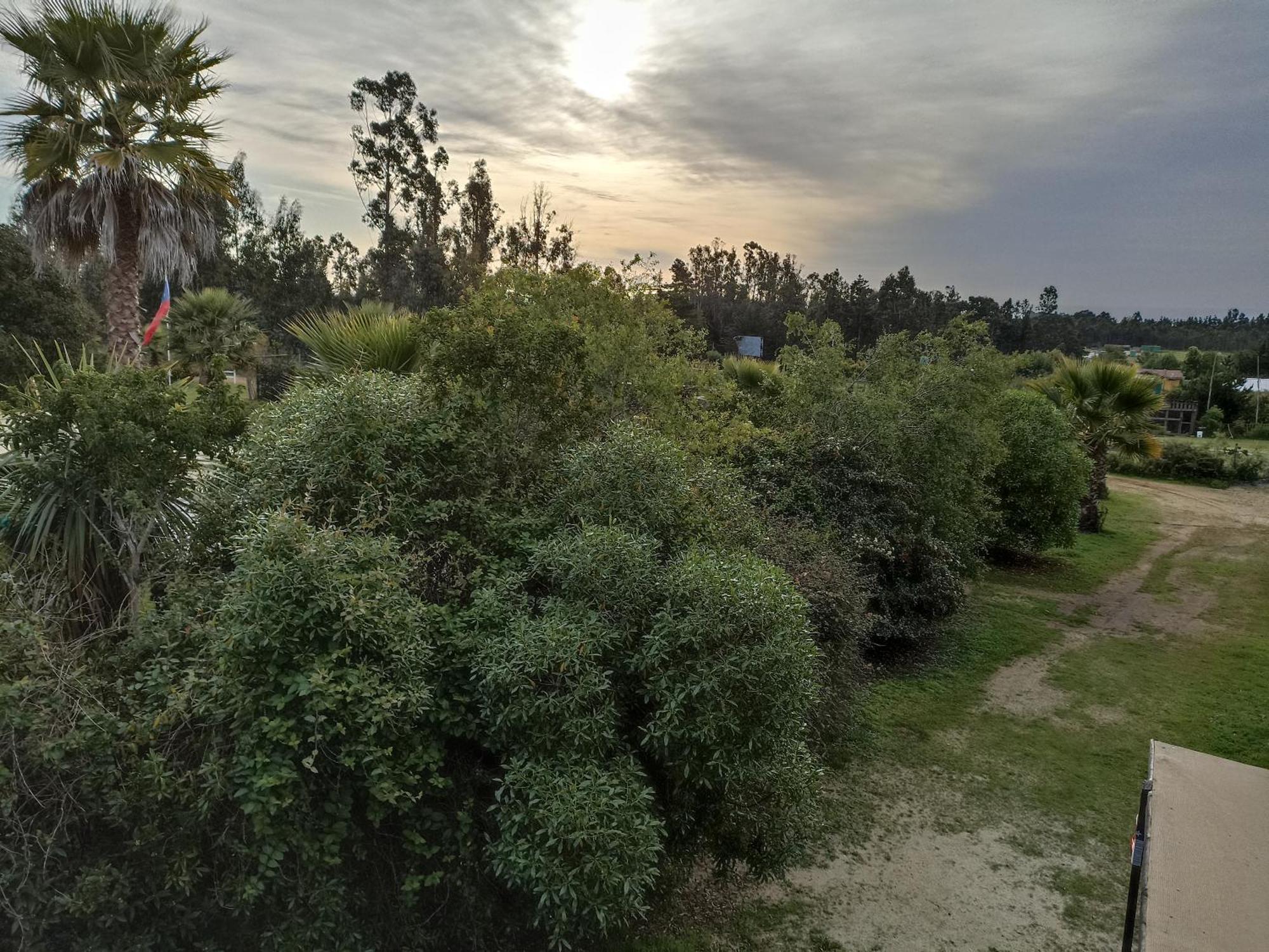 El Algarrobo Алгаробо Екстериор снимка