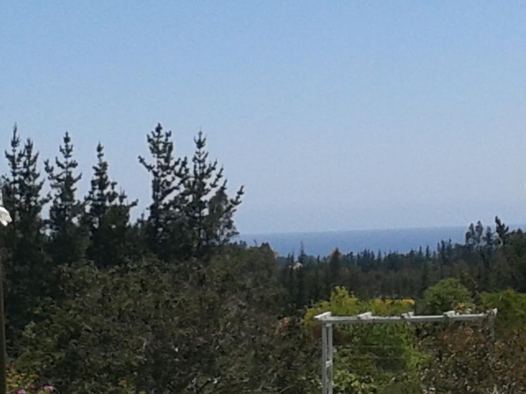 El Algarrobo Алгаробо Екстериор снимка