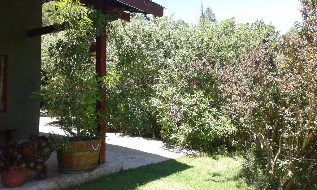 El Algarrobo Алгаробо Екстериор снимка