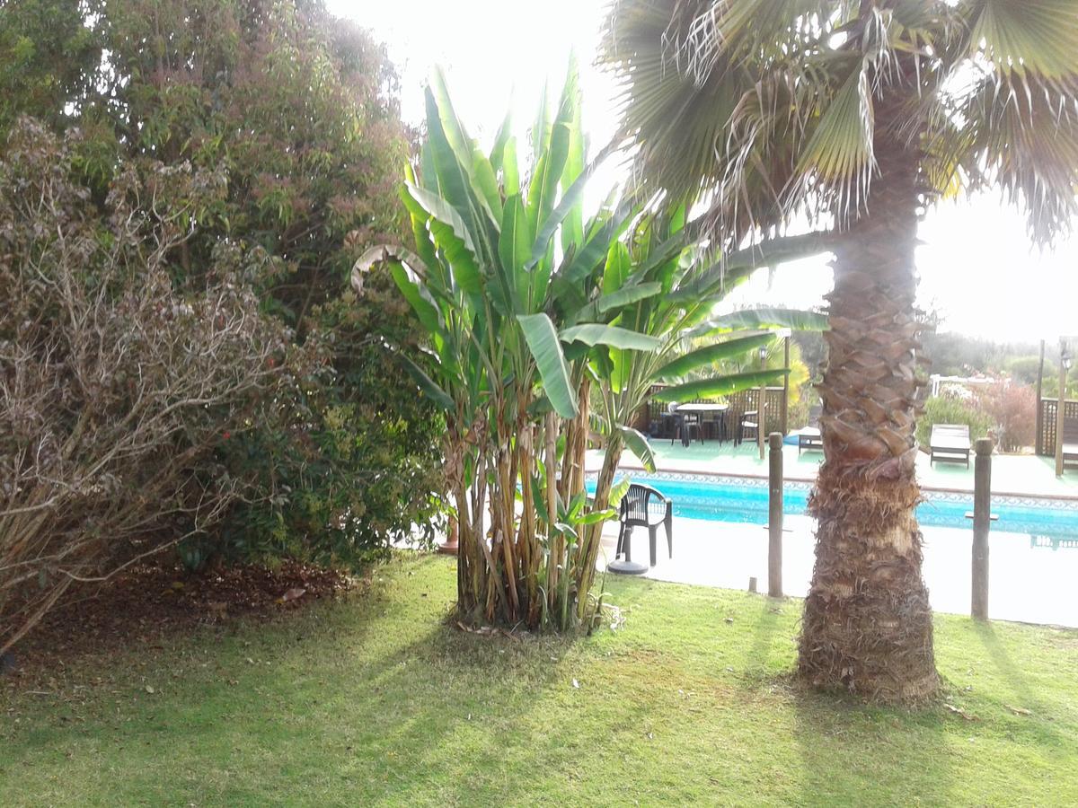 El Algarrobo Алгаробо Екстериор снимка